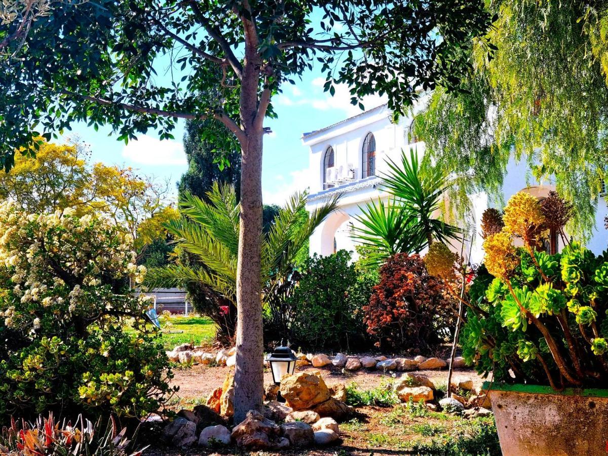 Chalet Alicante Sol Y Luz San Vicente Raspeig Exterior photo